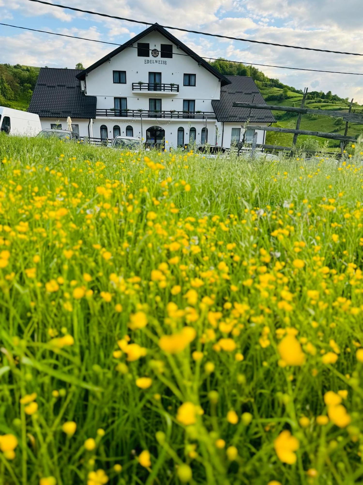 Evenimente Edelweiss Hotel Bogdan Vodă Eksteriør billede